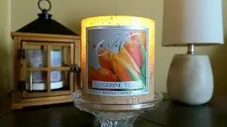 Kringle Candle Review|Tangerine Tulips