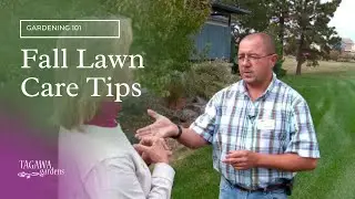 Tagawa Gardens Fall Lawn Care Tips