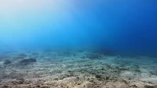 Dive With Me &ndash; Sunlight and Ripples on the Seafloor 🌊☀️