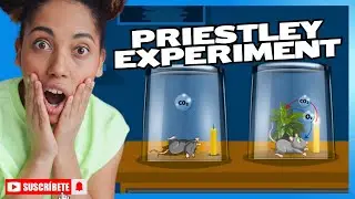 Priestley's Experiment | Photosynthesis In Higher Plants