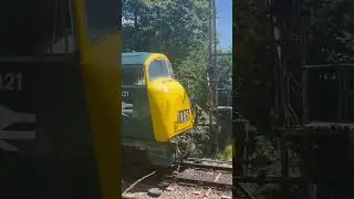 THRASH from D821 &lsquo;Greyhound&rsquo; at the watercress line diesel gala!