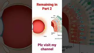 Why we cannot see 