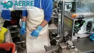CHIUDISACCO EASY CON STAMPANTE