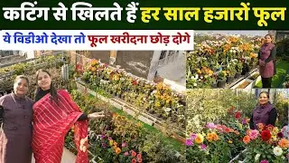 ₹0 ख़र्च, Non-Stop Flowers 😍 Perennial Plants की देखभाल के Secret Tips || Unique farming