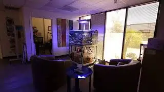 A Random Flow Generator&reg; powered mixed reef tank - no powerhead needed!