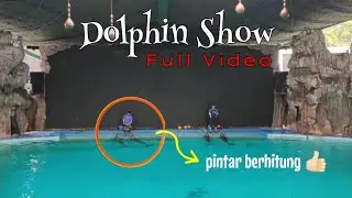 Dolphin Show (full video) Ocean Dream Samudra #sfiwaraf