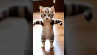 CAT camed #viral #foryou #sortfeed #youtubeforyou #camed