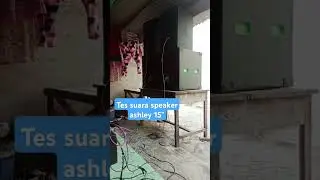 Speaker Ashley 15v400