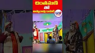 చింతామణితో అప్పారావు కామెడీ|Apparao comedy with Chintamani|PN9entertainment
