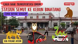 Cara Naik Wira-wiri & Suroboyo Bus dari Stasiun Surabaya Kota (Semut) ke Kebun Binatang Surabaya