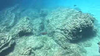 Isla Carmen: V-Cove 2