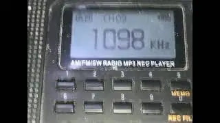 DWAD Now Radio 📻