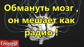 Обмануть мозг ! Ум отвлекает, как постоянно включенное радио !#США  #Америка #Флорида #Майами