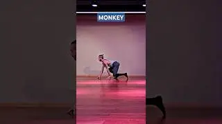 🔥 Mini Animal Flow - Evolution #mobility #primalmovement #animalflow #animalmovement