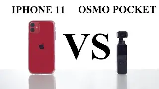 IPHONE 11 VS OSMO POCKET video & photo comparison