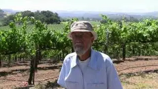 Ed Scherrer: Family's Alexander Valley vineyard
