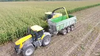 BIG CORN SILAGE  2017 | New Holland, Fastrac, Fendt Machines | DJI Phantom |Agriculture