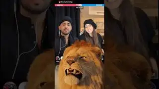 gifts 🎁 Lion 🦁#mrpattlo #shortsfeed #live