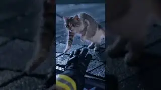 Brave Rescuers Save Cat from Rooftop During Thunderstorm | Heartwarming Rescue 🌧️🐈 #StormRescue