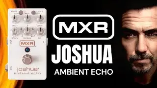 MXR JOSHUA AMBIENT ECHO: MOIGUITAR DEMO