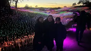 Field of Light Experience: Our Enchanted Night in Paso Robles 