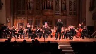 ODDBIRD CONCERTO by Mathieu Lussier,  I  Introduction The Bird and the Agitation of Life