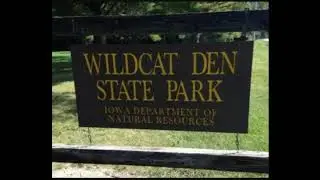 WILDCAT DEN