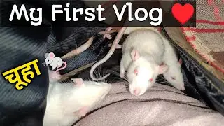 my first vlog ❤️ || My First Vlogs 2024