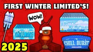 WOW! 1st SET OF WINTER LIMITED FIREWORKS IN ROBLOX!! 2025 (Fireworks Playground)