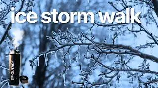 Icy Winter Walk | Crunch of Frozen Footsteps & Cracking Tree Branches| 4K Real Nature for Relaxation