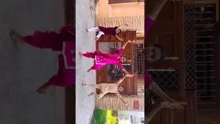 Case | Bhangra | Diljit Dosanjh | Animated&rsquo;s Dance World #bhangra #case #diljitdosanjh