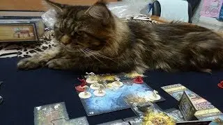 Запись стрима Descent: Road to Legend. Восстание всех гоблинов