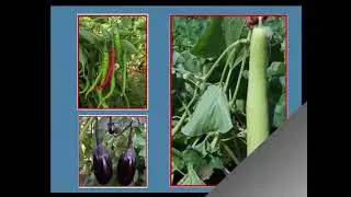 Business Planning & Development UnitNAIP I at Anand Agricultural University