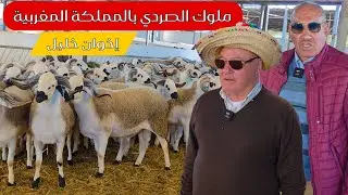 (الجولة 10) مع الكساب إخوان خليل بمنطقة جماعة أولاد فارس البروج اقليم سطات Anoc2026 