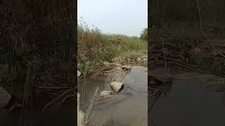 no running only nice view 🪟#subscribe #comment #short #army