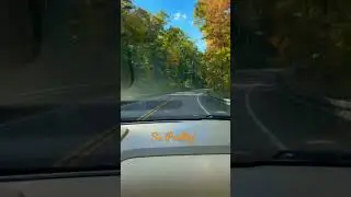 Fall Foliage! 🌳🍂🍁#fall #leaves #pensylvania #backroads