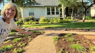 Berkeley Sedge Part 2