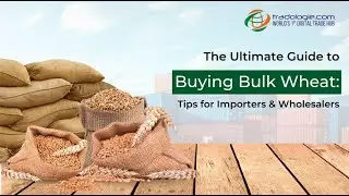 The Ultimate Guide to Buying Bulk Wheat: Tips for Importers and Wholesalers
