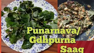 Punarnava/Gdhpurni Saag