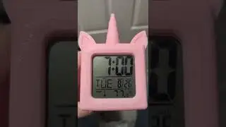 Resetting the alarm, UNICORN 'YOUR ZONE' alarm clock