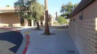 BORREGO SPRINGS DAY