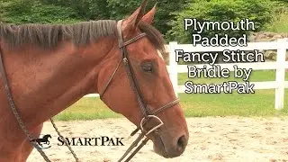 Plymouth Padded Fancy Stitch Bridle by SmartPak Review
