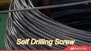 ss304 ss410 self drilling screw grade 10.9 carbon steel screw