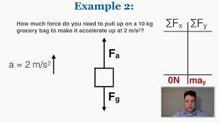 Newton's Second Law - IB Physics