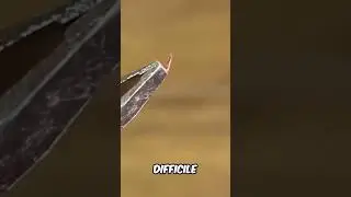 Voici comment enlever une &eacute;charde sans avoir de douleur 😨