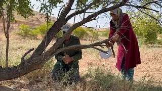 73-Year-Old Grandpa in an Iranian Mountain Village and His Hard Life 🏡 | Rural Documentary