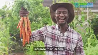 Fighting Food Waste with Solar-Powered Cold Storage