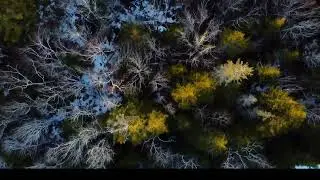Tusket NS on DJI Mini 2 Yarmouth County  Nova Scotia
