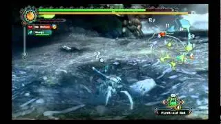 Monster Hunter Tri -- Wyvern Conservation (Wi-Fi Quest)