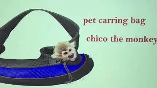 Pet Monkey Carrier travel Bag
